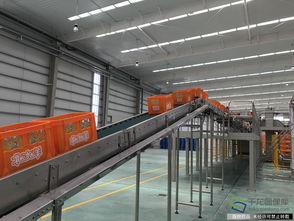 一轻食品集团在马鞍山新厂建成投产 橘气 北冰洋落户安徽